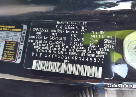 2024 Kia Telluride Sx Prestige X-Pro from USA, damaged, VIN 5XYP5DGC4RG448871